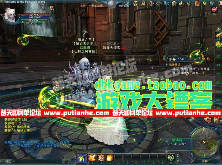 4.jpg