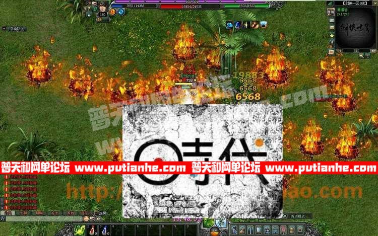 5.jpg