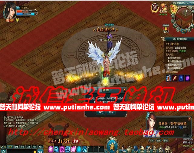 084218stv3gssvvq5vtwtx.jpg
