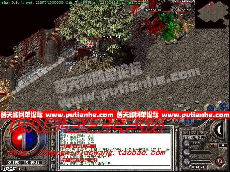 231213g2wwvgdb80vsd4t2.jpg