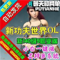 新功夫世界网游单机版网单一键服务端 新140级9职业