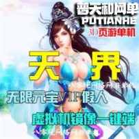 天界网游单机版网单一键服务端 GM元宝VIP假人